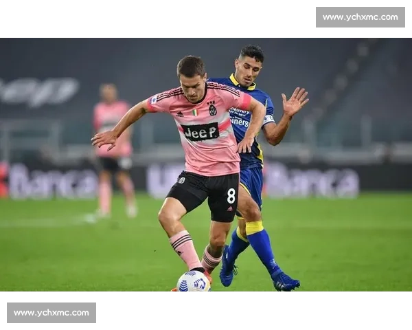 塔拉雅vs巅峰对决全面解析战术实力与赛场走向关键看点深度前瞻